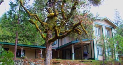 Creekside Condo at the Kelly Lodge Holiday home 2 BestStayz.1