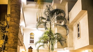 A courtyard with a palm tree, lounge chairs, and a dining area with a table and chairs. - Hostal Inn - Hostel (Playa del Carmen)