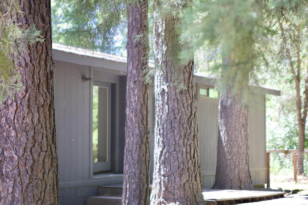 A building with a porch, surrounded by large trees.