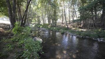 A natural outdoor setting with a stream, surrounded by trees and vegetation.