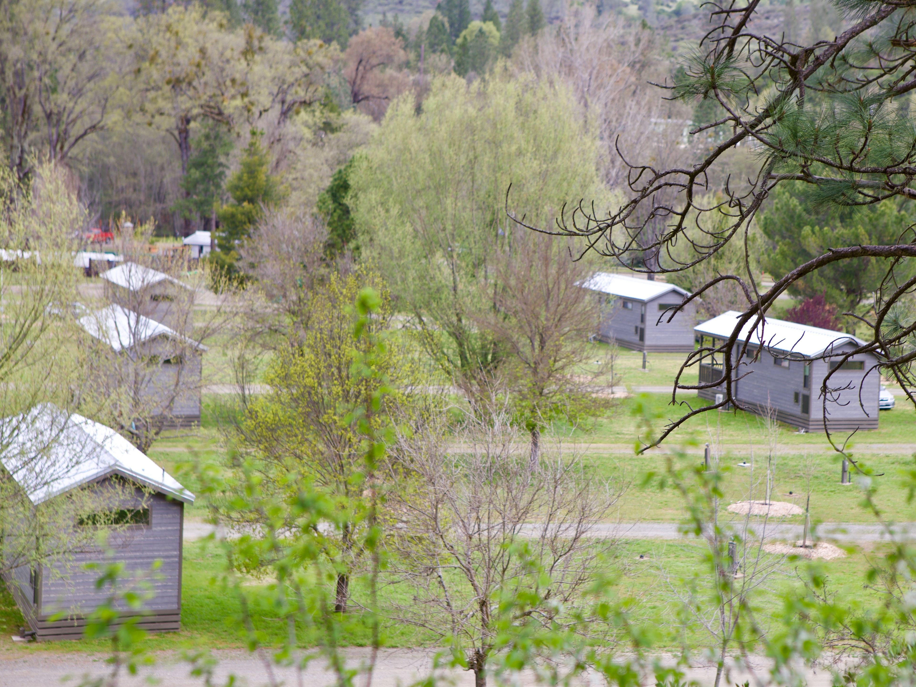Une zone rurale avec plusieurs petites cabanes et un grand arbre au premier plan.