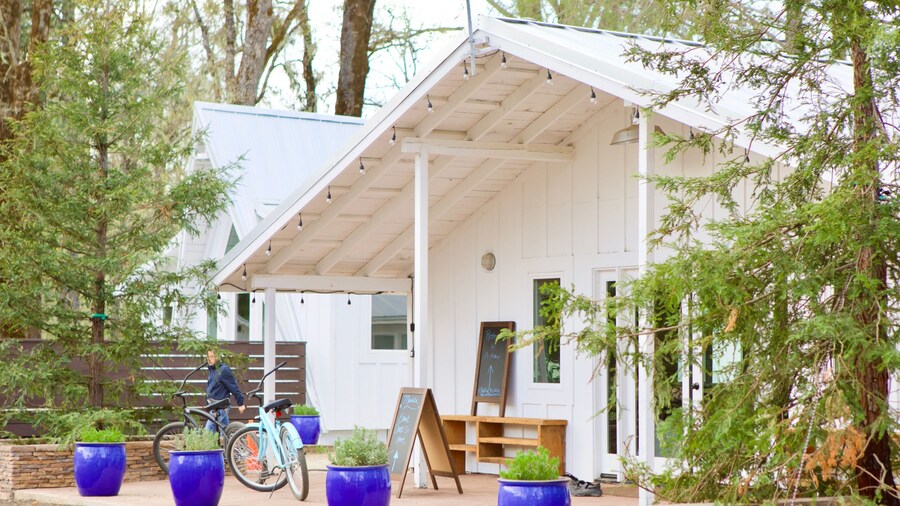 Mandala Springs Wellness Retreat Center