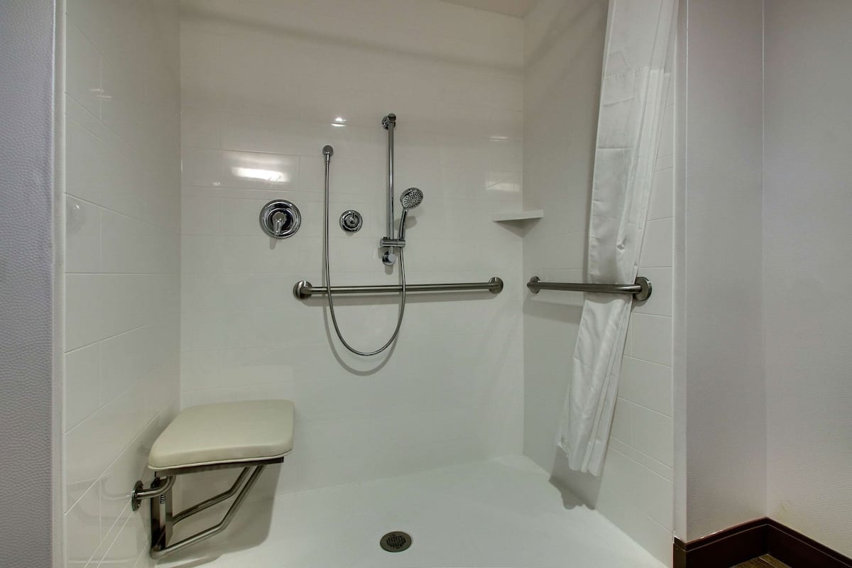 A shower area with a grab bar, a handheld showerhead, and a toilet.