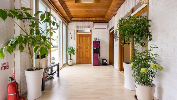 A hallway with wooden flooring, white brick walls, and large potted plants. - Yours Guesthouse (Tongyeong)