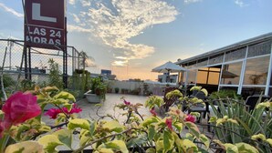 Una terraza en la azotea con plantas en macetas, mobiliario exterior y una vista despejada del cielo.