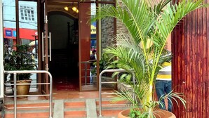 Entrada de hotel con techo de madera, una planta grande en maceta y una escalera que conduce al interior.