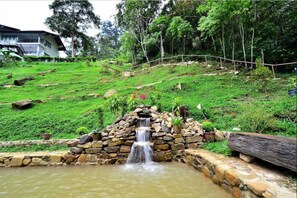 Jardín