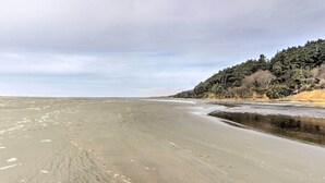 Uma praia com areal arenoso e uma encosta arborizada ao fundo.