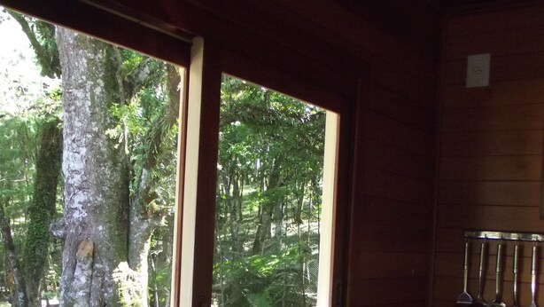 Interno di un rustico chalet con una grande finestra che si affaccia su una foresta, una parete in legno e un angolo cottura con elettrodomestici essenziali.