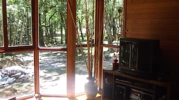 TV, fireplace, video games, DVD player