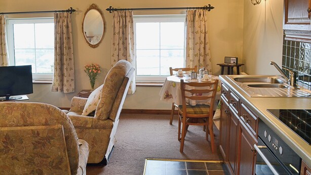 Een gezellige woonkamer met een bank, een eettafel met stoelen, een keuken met een spoelbak en fornuis, en grote ramen voorzien van gordijnen.