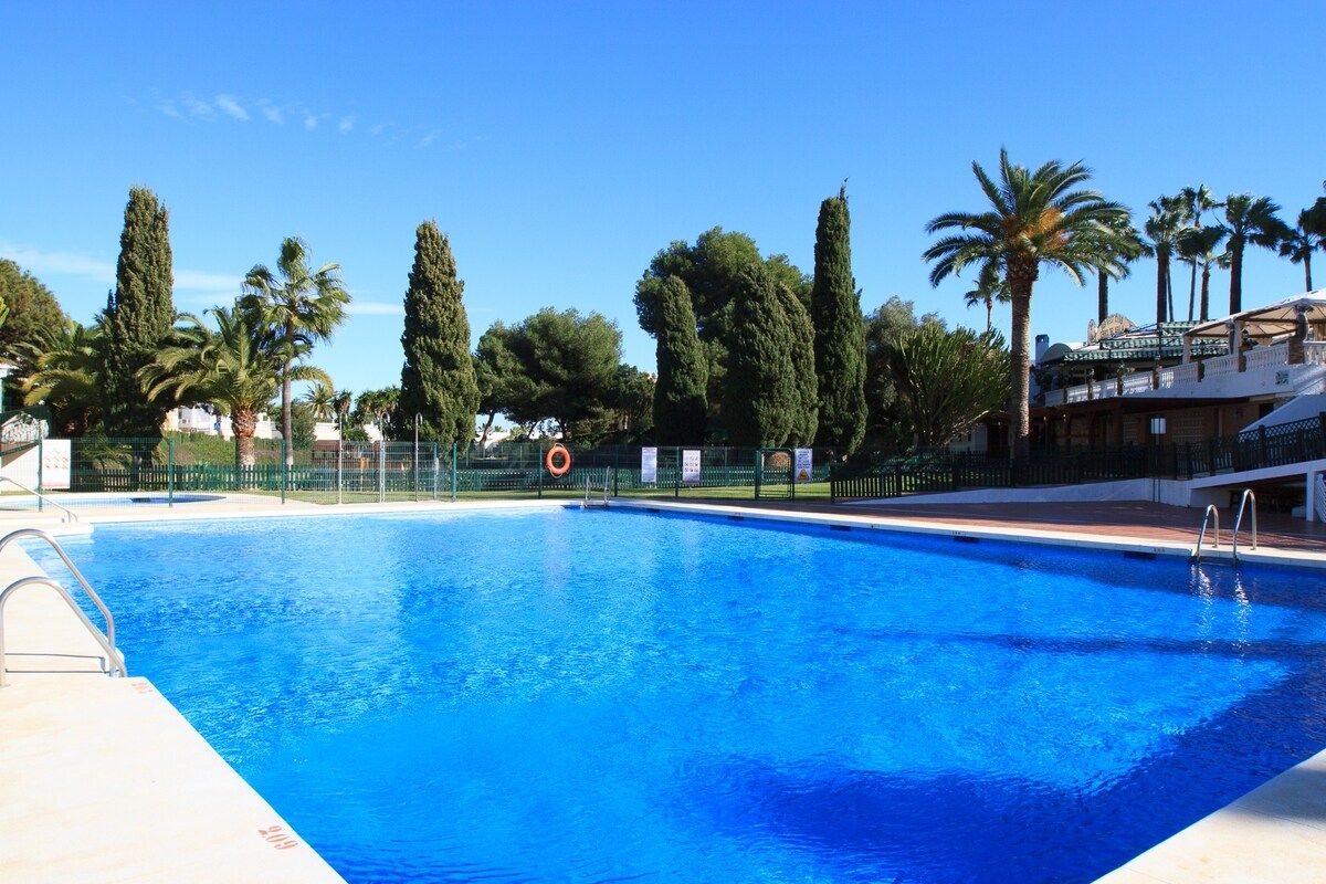 A swimming pool with a lifebuoy, surrounded by palm trees and tall cypress trees.