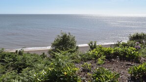 A beach with a clear view of the ocean and a line of greenery in the foreground. - 2 bedroom accommodation in Corton, near Lowestoft (Corton, near Lowestoft)
