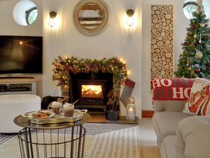 TV, fireplace, video-game console