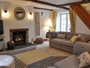 TV, fireplace, video-game console