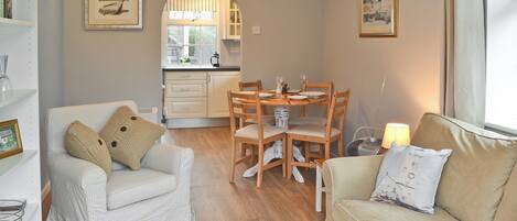 تلفزيون، مشغل دي في دي