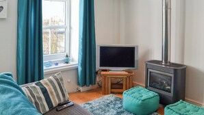 A cozy living room with a TV, a fireplace, and teal curtains.