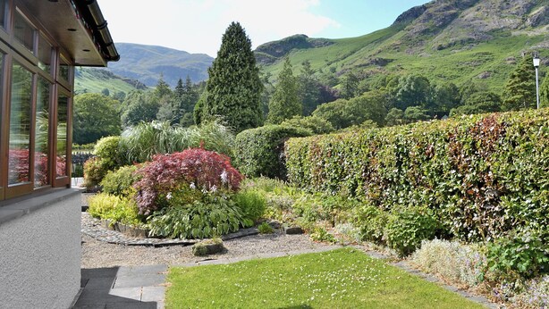 A garden with a variety of plants and a view of mountains in the background.