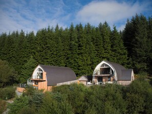 Eksteriør