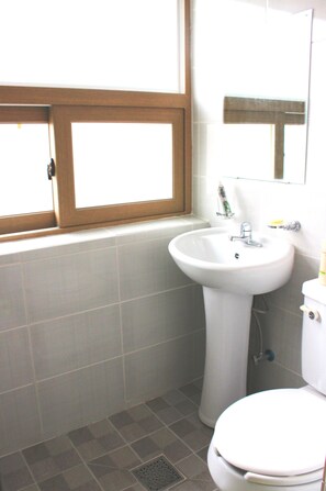 Regadera, amenidades de baño gratuitas, secadora de cabello, pantuflas
