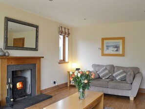 TV, fireplace - 3 bedroom accommodation in Aviemore (Aviemore)