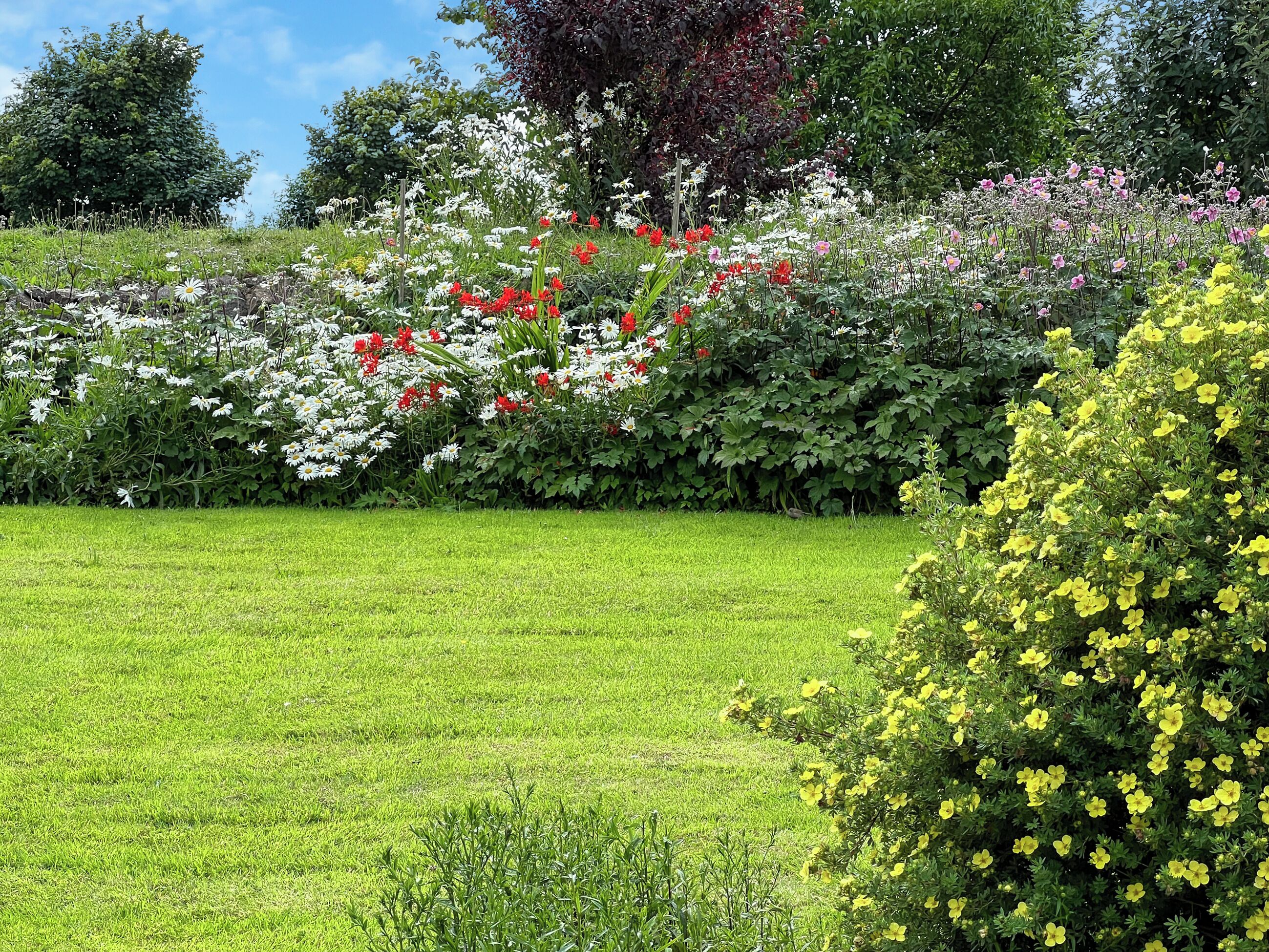 A well-maintained garden with a variety of flowers and shrubs, a neatly trimmed lawn, and a clear sky.