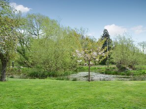 A grassy park area with trees, a pond, and a metal fence.