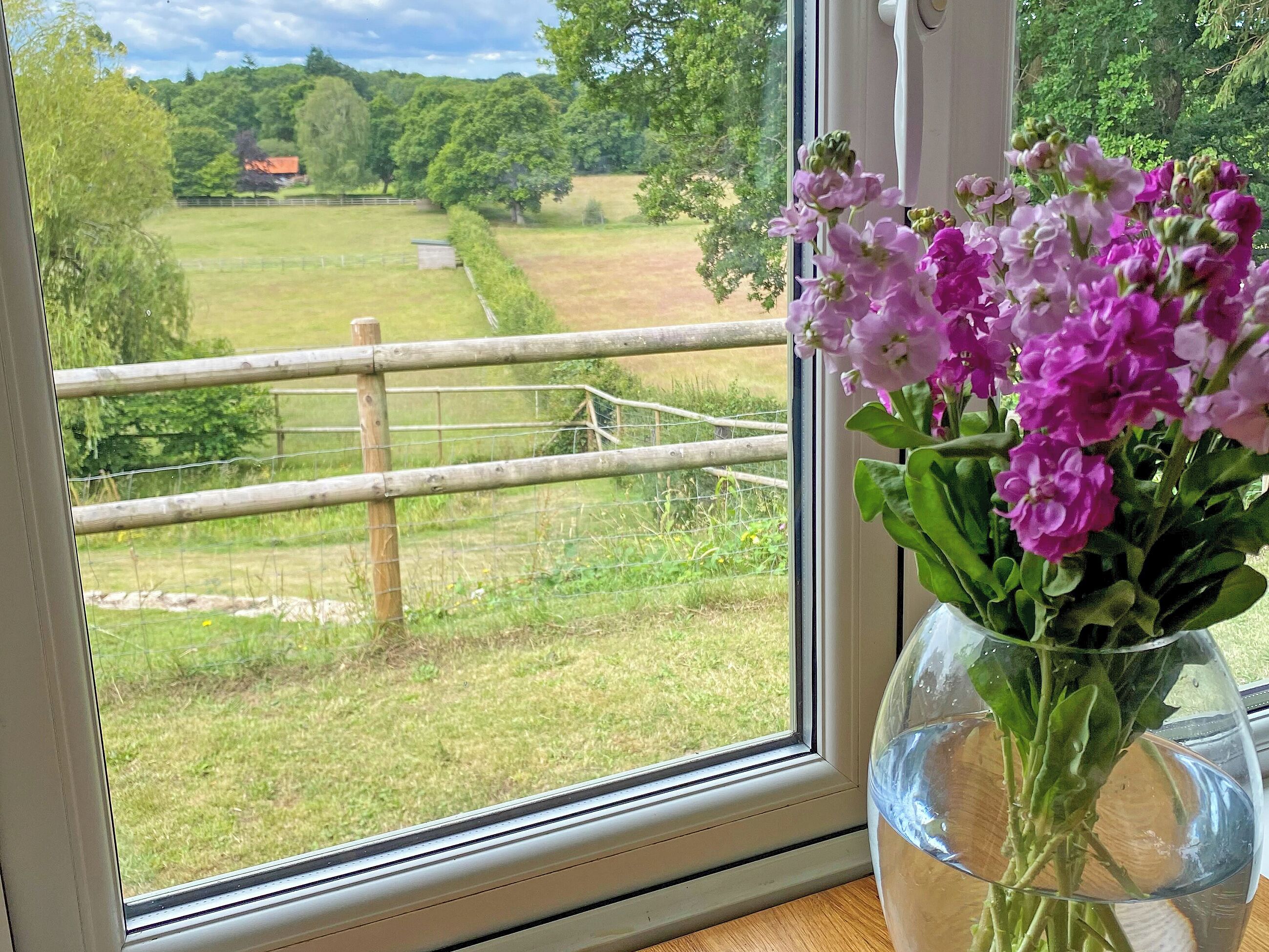 A window with a view of a fenced field and a wooden fence.