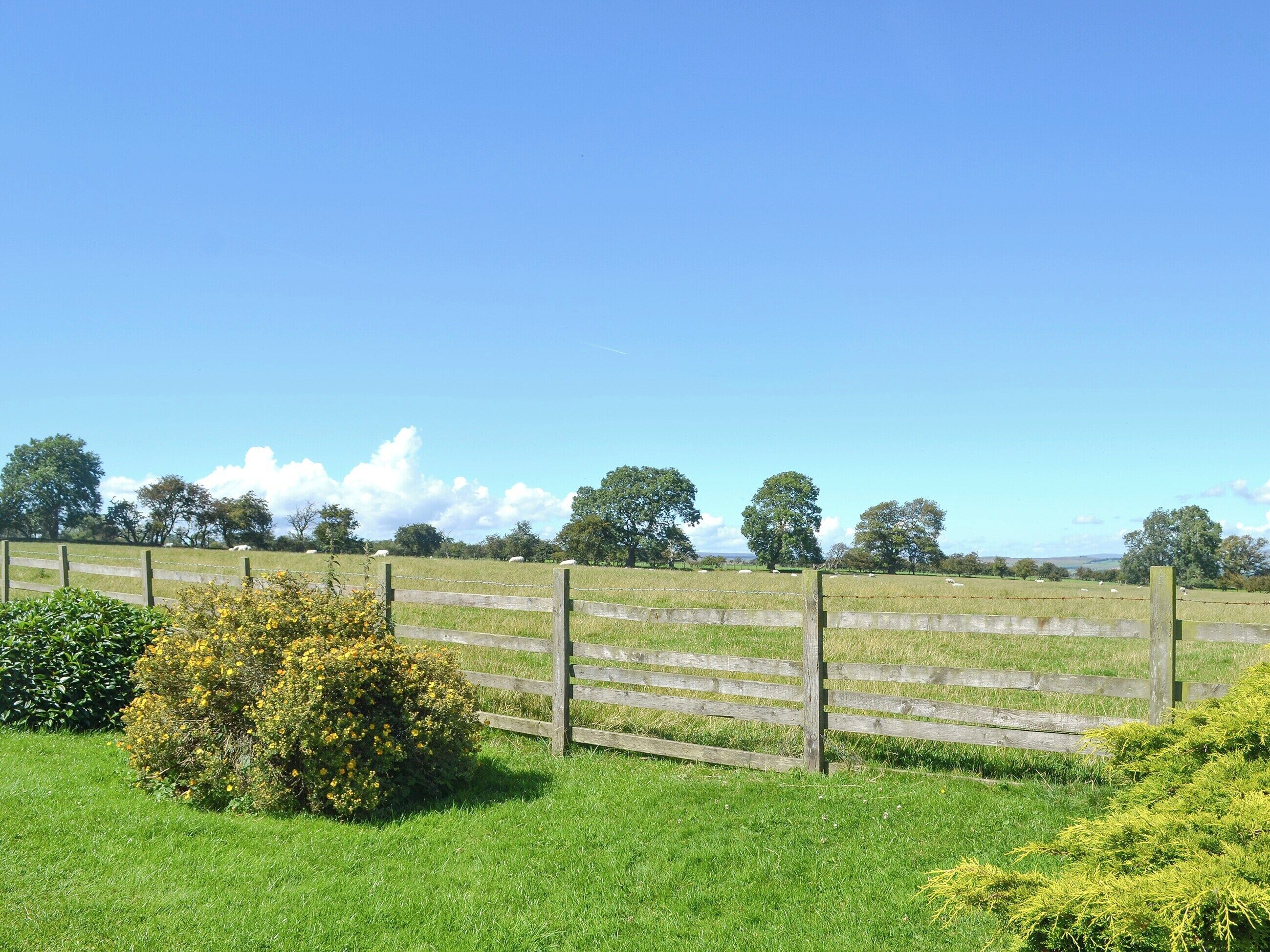 A rural landscape with a wooden fence, green grass, and trees in the background.