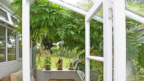 A conservatory with wicker furniture, potted plants, and a view of the garden.