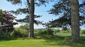 A grassy field with trees and a wooden fence in the background.