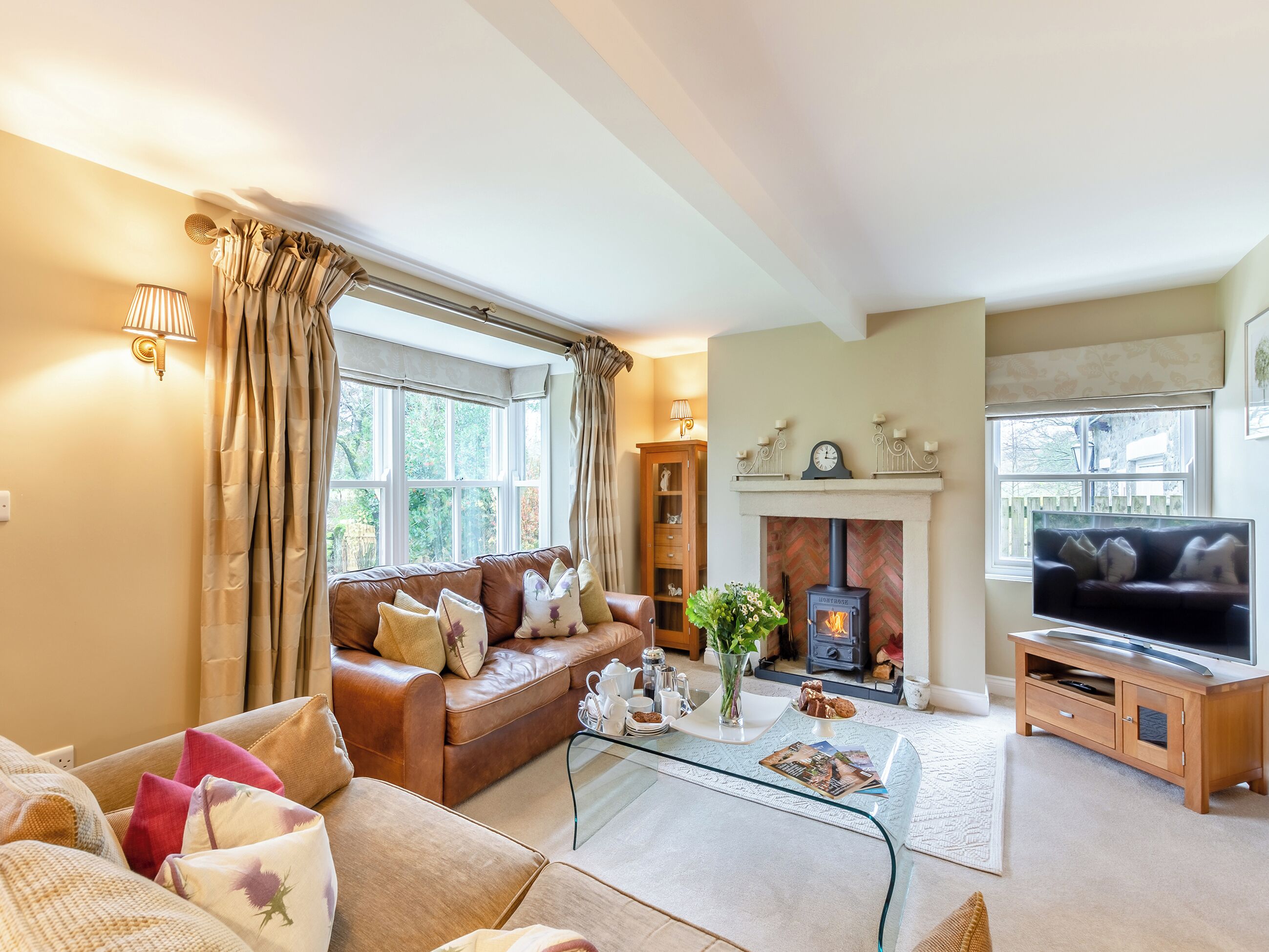 TV, fireplace
