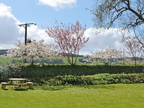 A picnic table in a grassy field with blooming trees in the background. - 2 bedroom accommodation in Montrose (Montrose)