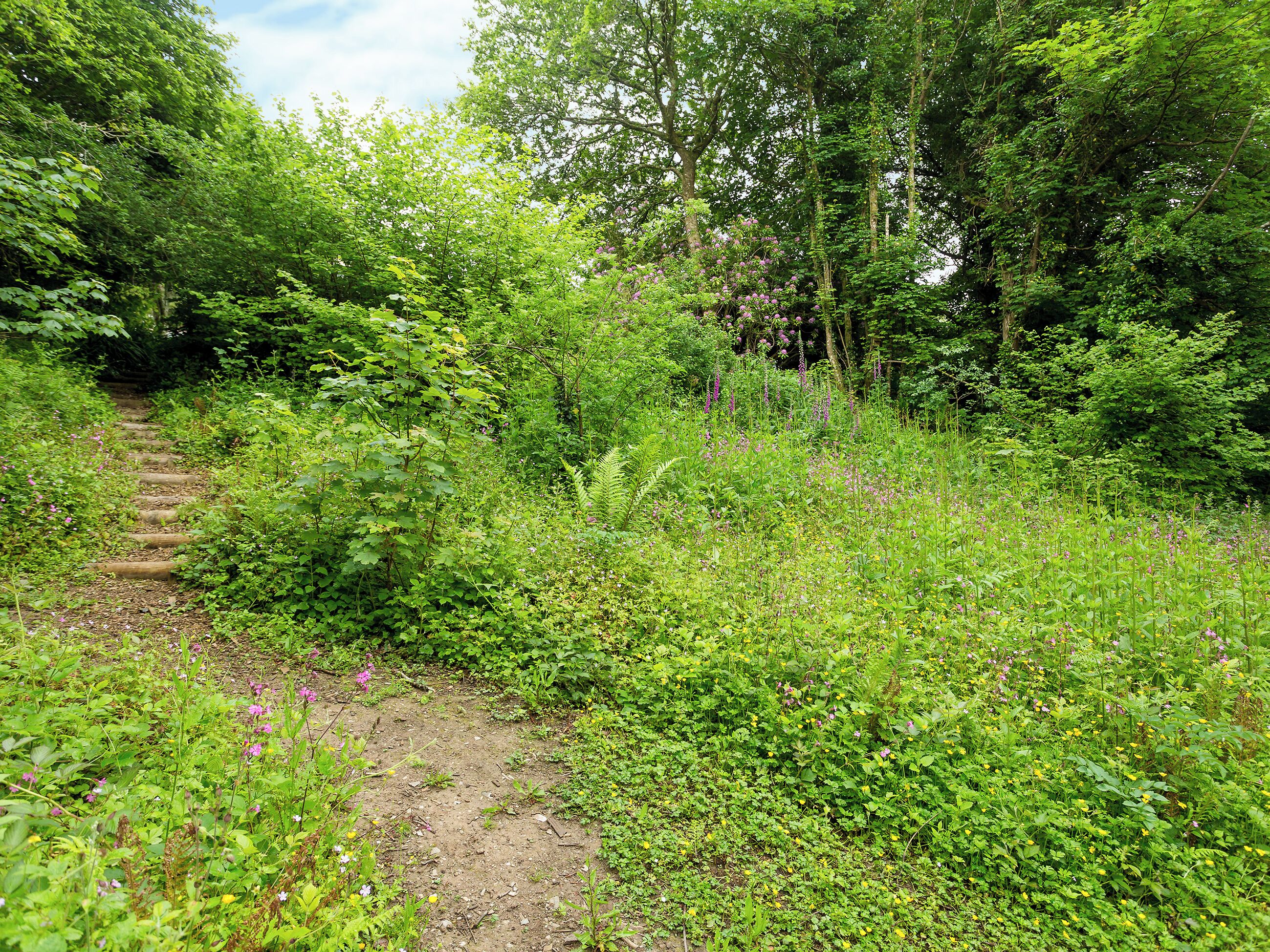 Terrain de l’hébergement 