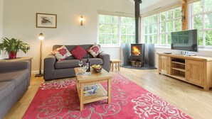 TV, fireplace - 2 bedroom accommodation in Loddiswell Station, near Kingsbridge (Loddiswell Station, near Kingsbridge)