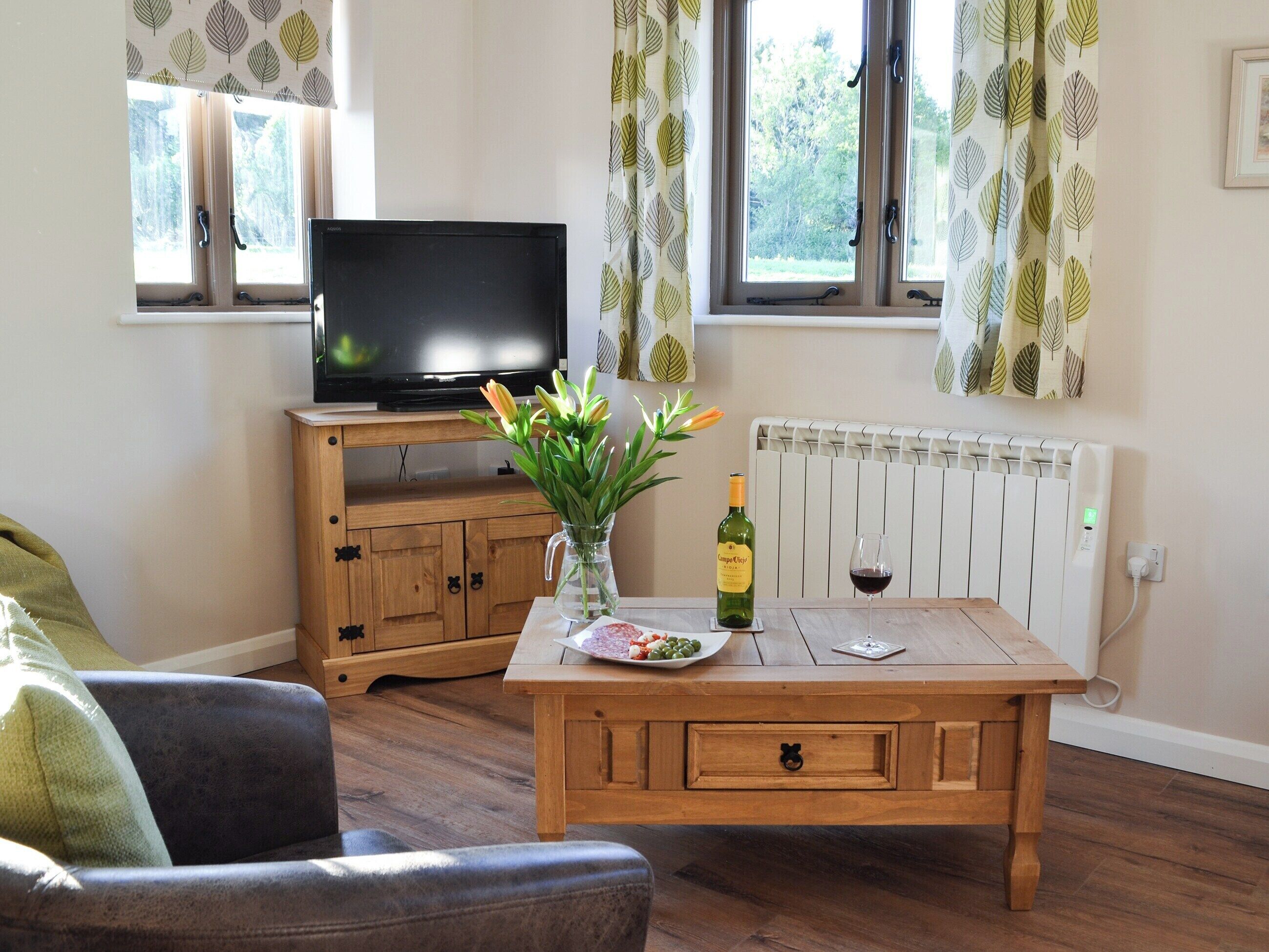 Un salon avec un téléviseur posé sur un meuble en bois, une table basse avec une bouteille et un verre, et un radiateur.
