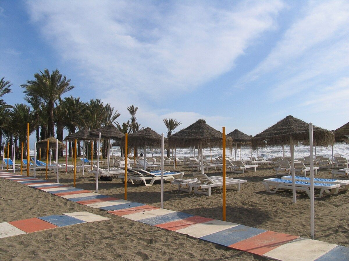 Een strand met ligbedden en parasols, palmbomen en een heldere lucht.