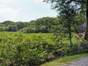 Área da propriedade