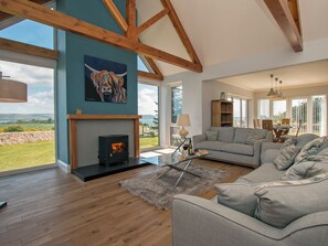 TV, fireplace - 3 bedroom accommodation in Low Dinduff, near Stranraer (Low Dinduff, near Stranraer)