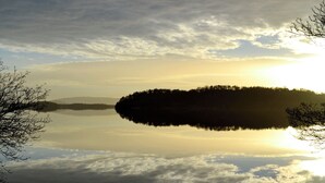 A calm lake with a forested island reflected in the water. - 2 bedroom accommodation in Shandon, near Loch Lomond (Shandon, near Loch Lomond)