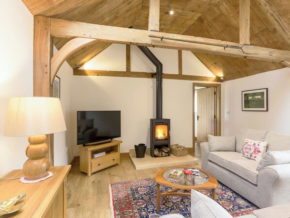 Fernseher, Kamin