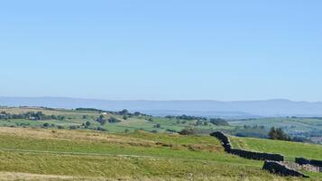 A rural landscape with rolling hills, a stone wall, and a clear blue sky.