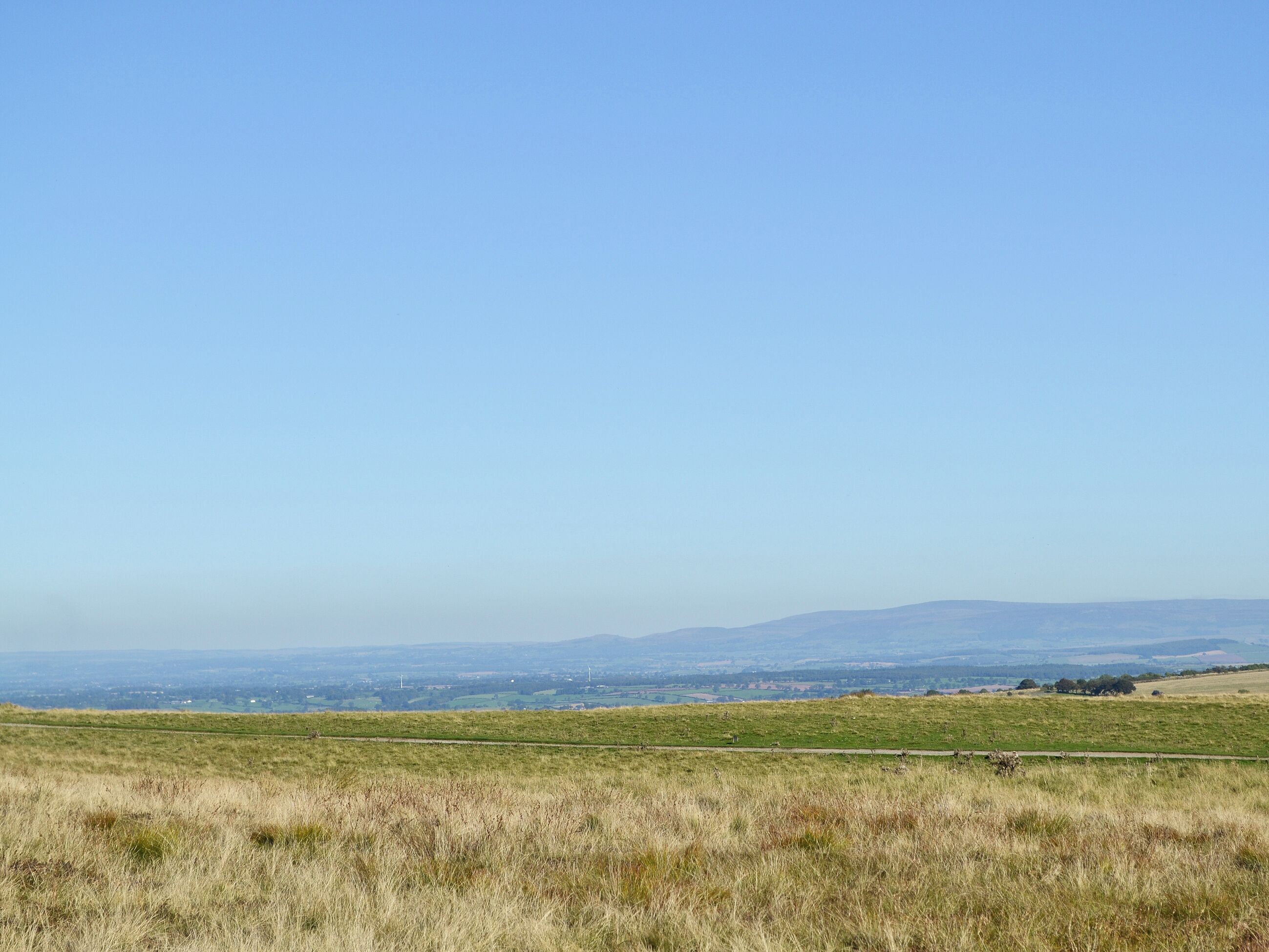 A grassy field with a clear blue sky and distant hills.