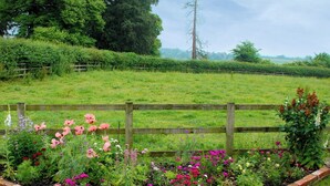 A garden with a wooden fence and various flowers. - 1 bedroom accommodation in Fifehead Magdalen, near Gillingham (Fifehead Magdalen, near Gillingham)