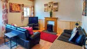 Een knusse woonkamer met een open haard, een televisie en twee banken.