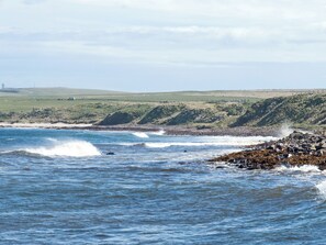 Unclassified image, 3 of 23, button