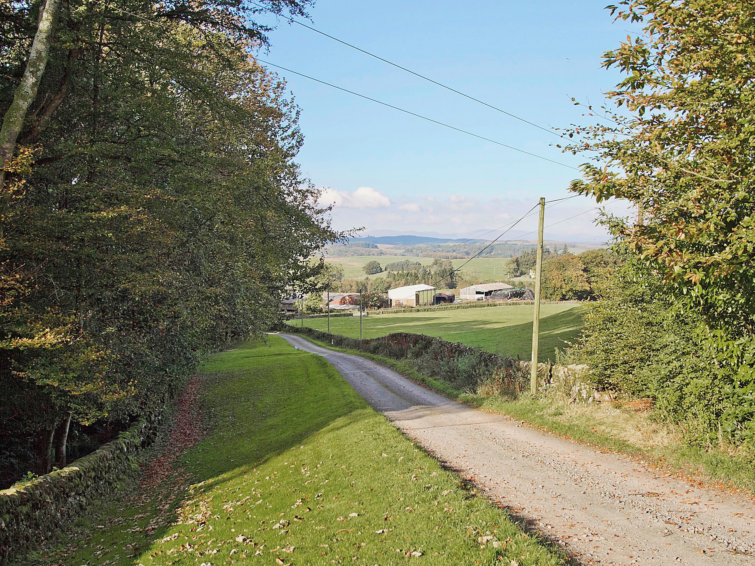 A rural road with stone walls on one side and a grassy field on the other, leading to a farm with buildings in the distance.