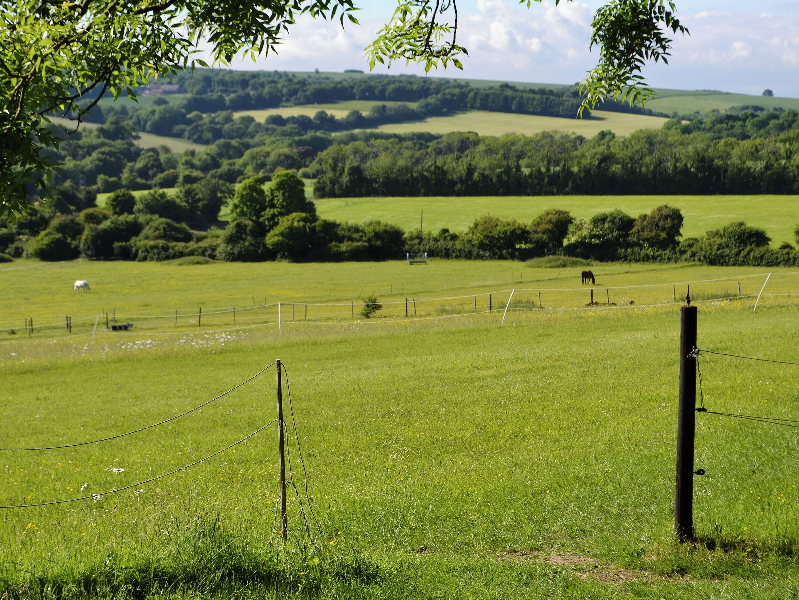 Un paisaje rural con un campo cercado, un caballo y colinas ondulantes al fondo.