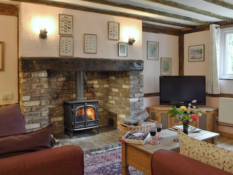 TV, fireplace. Henley Bridge Holiday Cottage