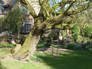 Un jardín con un árbol grande, un muro de ladrillo y una ventana con celosía.